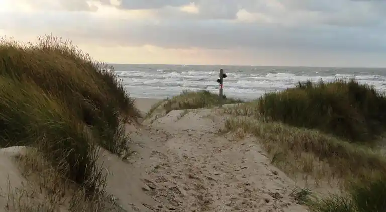 Apartment in Zuydcoote