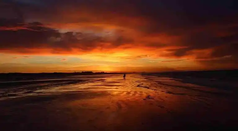 Apartment in Zuydcoote