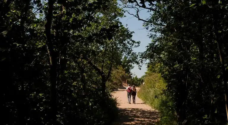 Apartment in Zuydcoote
