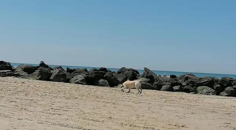 Ferielejlighed i Équihen-Plage