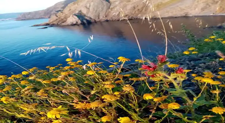 Leilighet i Occitanie