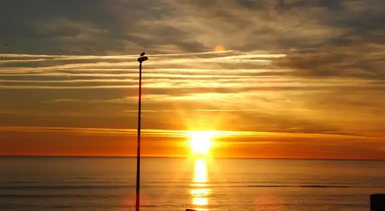 Ferielejlighed i Occitanie