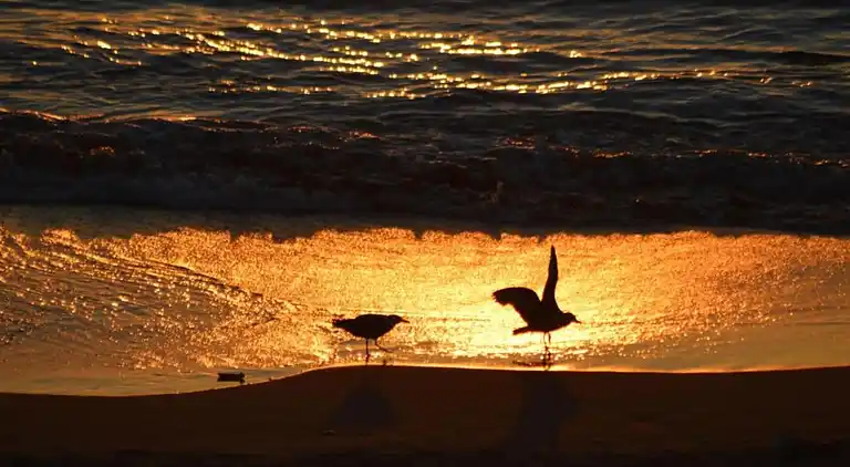 Ferielejlighed i Saint-Jean-de-Luz