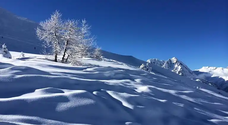 Ferielejlighed i Vallorcine