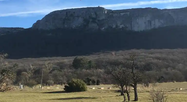 Villa in Nans-les-Pins