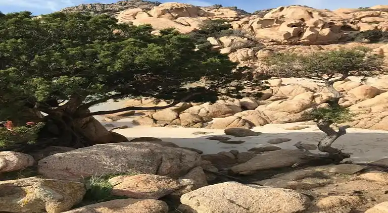 Sommerhus i Santa Teresa Gallura