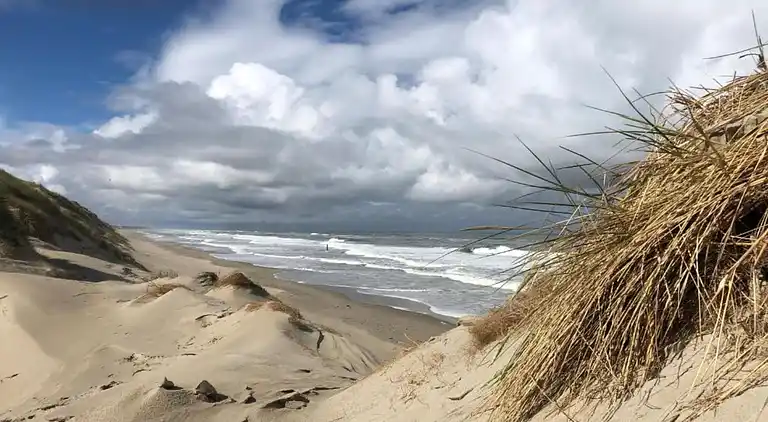 Vakantiehuis in De Cocksdorp