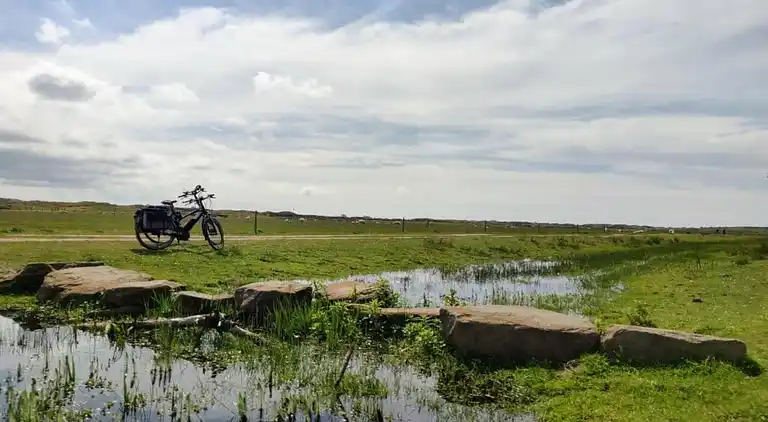 Vakantiehuis in De Cocksdorp