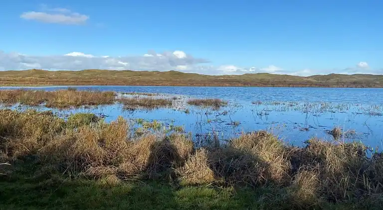 Vakantiehuis in De Cocksdorp