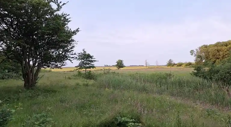 Vakantiehuis in De Cocksdorp