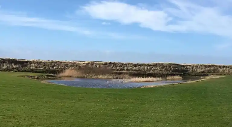 Vakantiehuis in De Cocksdorp