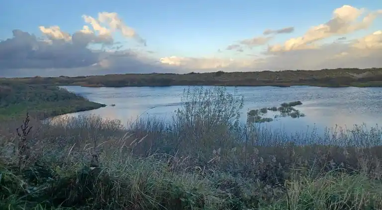 Vakantiehuis in De Cocksdorp