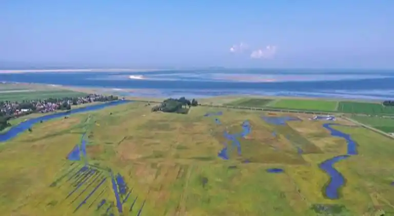 Vakantiehuis in De Cocksdorp