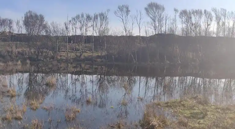 Vakantiehuis in De Cocksdorp