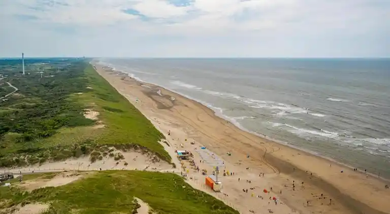 Cottage in South Holland