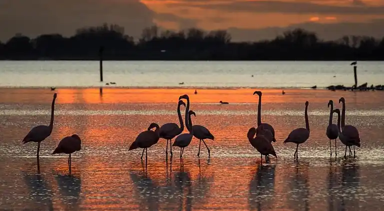 Lägenhet i Bruinisse