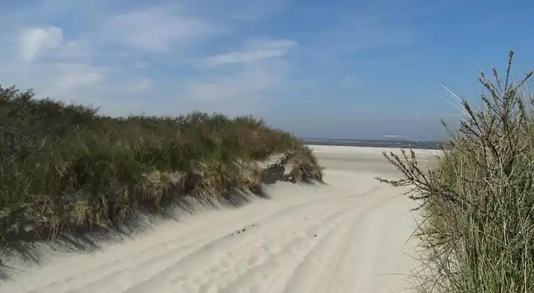 Holiday home in Bruinisse