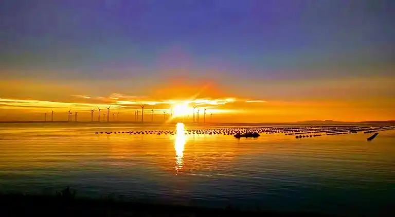 Lägenhet i Bruinisse