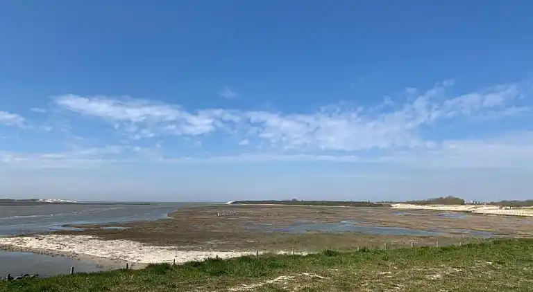 Apartment in Blankenberge