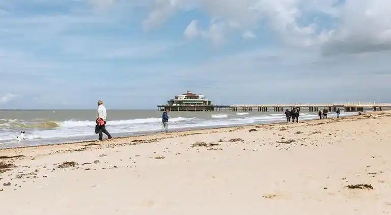 Apartment in Blankenberge
