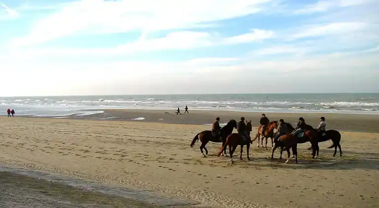 Apartment in Blankenberge