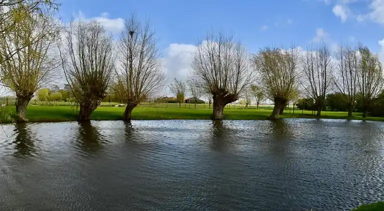 Apartment in Nieuwpoort
