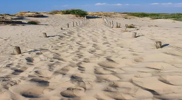 Apartment in Nieuwpoort