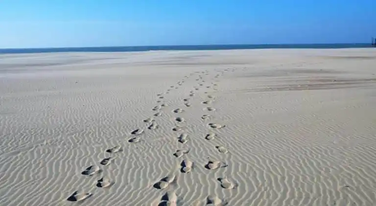 Apartment in Nieuwpoort