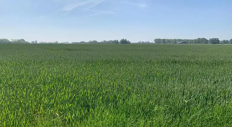 Apartment in Nieuwpoort