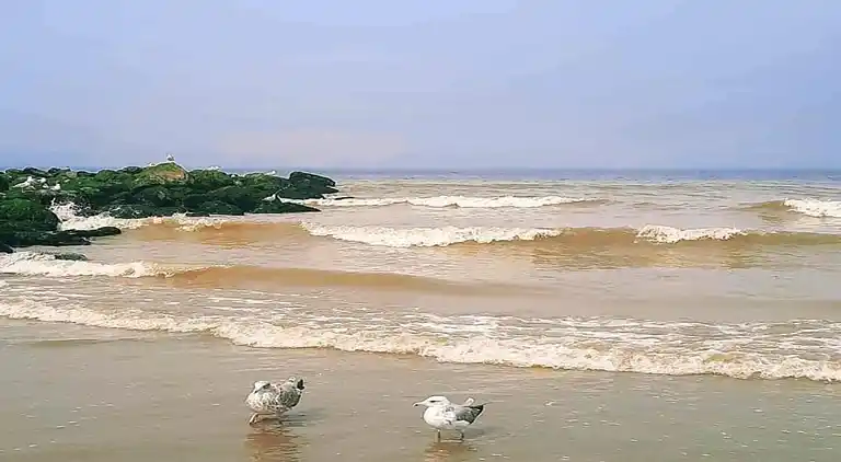 Apartment in Nieuwpoort