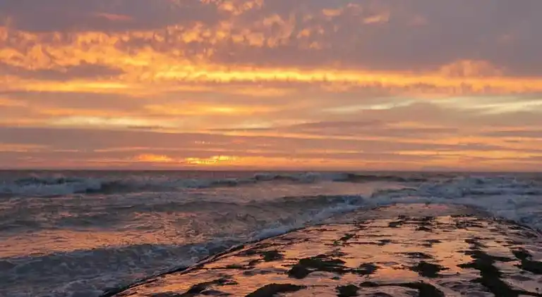 Apartment in Nieuwpoort
