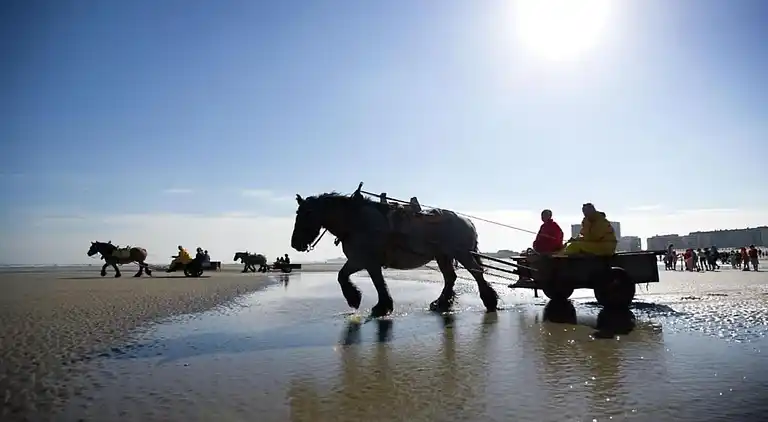 Apartment in Nieuwpoort