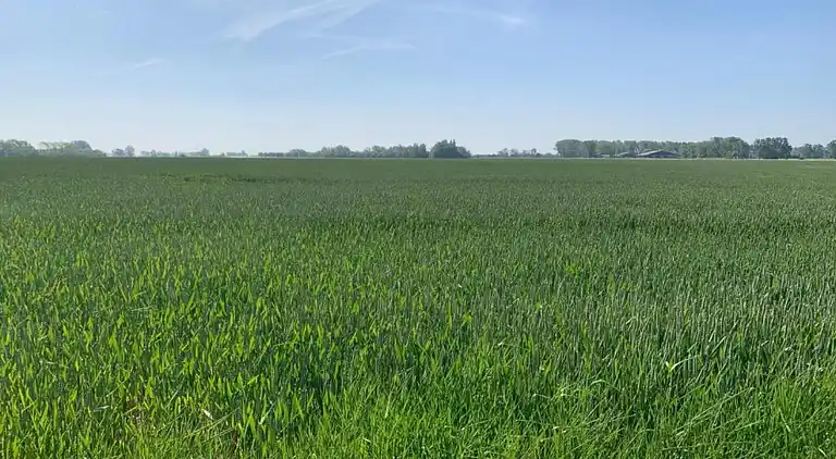 Apartment in Nieuwpoort