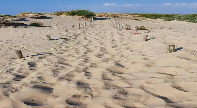 Apartment in Nieuwpoort