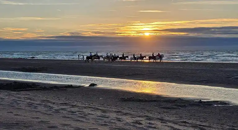Apartment in Oostduinkerke