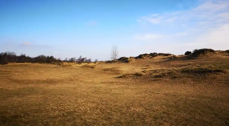 Apartment in Oostduinkerke