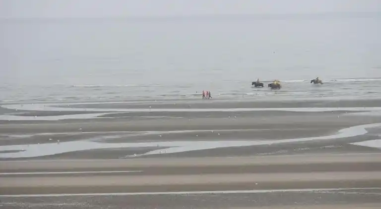 Apartment in Oostduinkerke