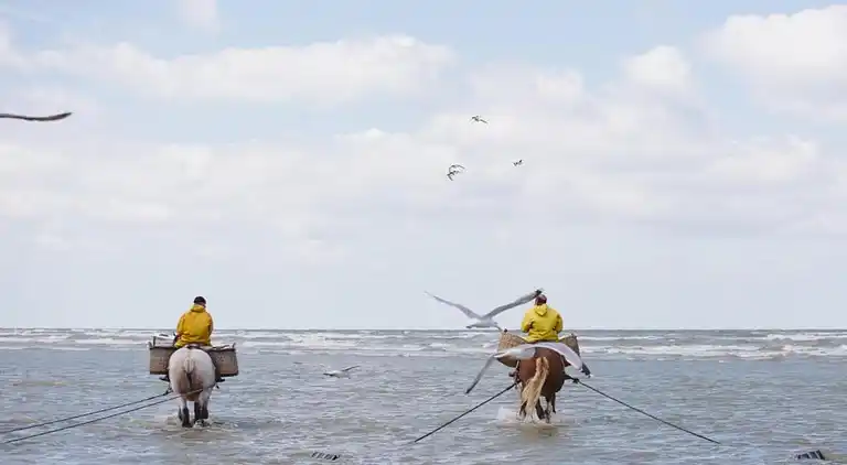 Apartment in Oostduinkerke