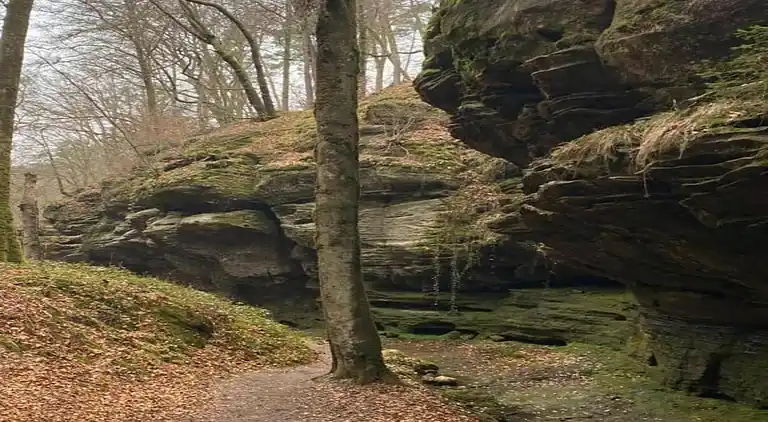 Ferienhaus in Rosport