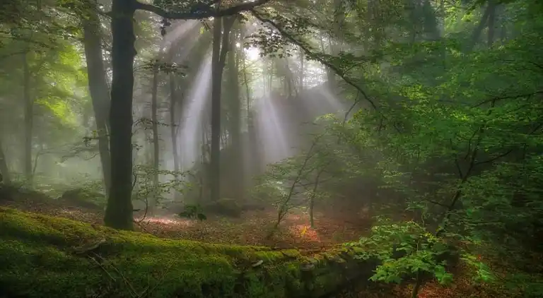 Ferienhaus in Rosport