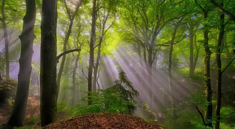 Ferienhaus in Rosport