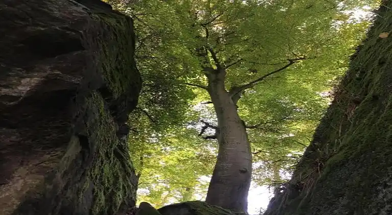 Ferienhaus in Rosport