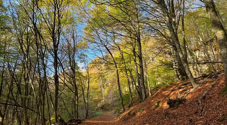 Ferienhaus in Rosport