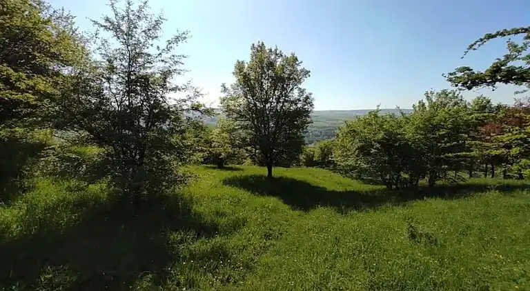 Ferienhaus in Rosport