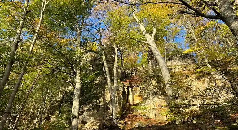 Ferienhaus in Rosport