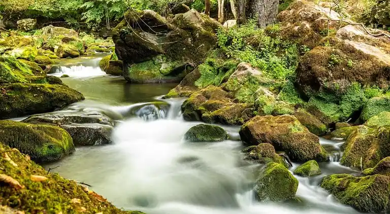 Ferienhaus in Rosport