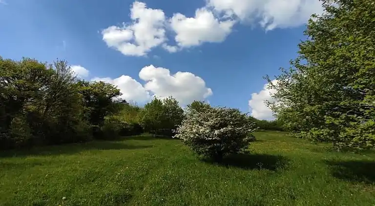 Ferienhaus in Rosport