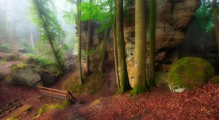 Ferienhaus in Rosport