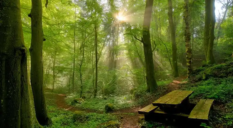 Ferienhaus in Rosport