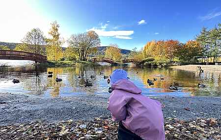 Lägenhet i Drammens